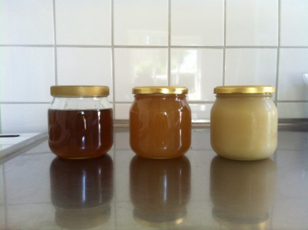 Honungens olika stadier innan den är klar.